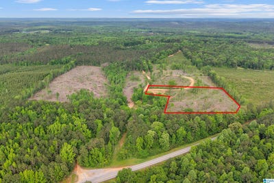 /international/us/active-road-lot-6-lawley-al-110108110329/