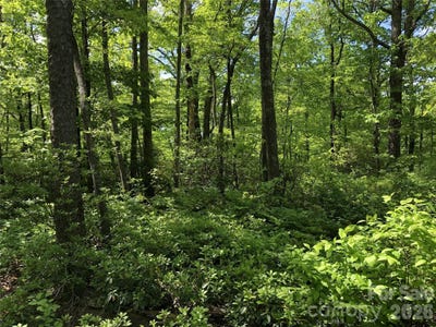 /international/us/millard-crossing-hendersonville-nc-110108332484/