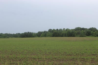 /international/us/1021-120th-avenue-ogilvie-mn-110108773107/