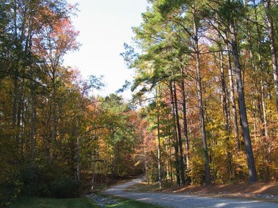 /international/us/12-glenwood-lane-irvington-va-110098912024/