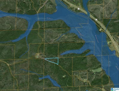 /international/us/tbd-little-hope-road-centreville-al-110099956047/?lang=zh-cn