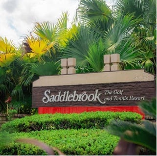 /international/us/5454-saddlebrook-way-wesley-chapel-fl-110099240691/