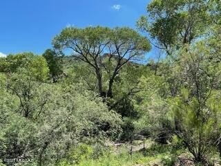 /international/us/60-harshaw-creek-road-patagonia-az-110102771739/