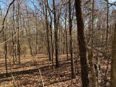 /international/us/13242-highway-163-harrisburg-ar-110109927921/