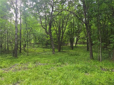 /international/us/xxx-120th-avenue-amery-wi-110100719727/?lang=zh-tw