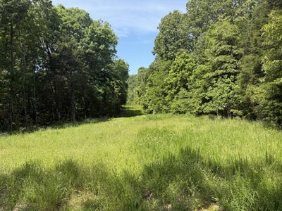 /international/us/county-road-318-lot-5-tecumseh-mo-110108532224/