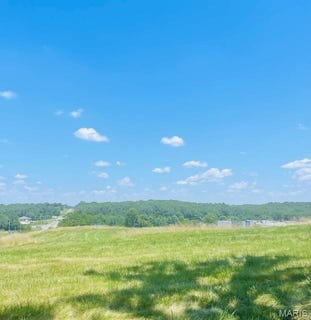/international/us/0-hwy-28-owensville-mo-110100692569/