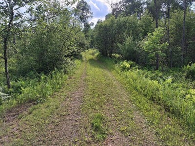 /international/us/6897-riverside-road-evart-mi-110100324309/?lang=en