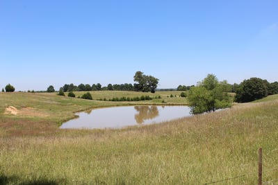 /international/us/472-county-road-piggott-ar-110092616770/?lang=zh-tw