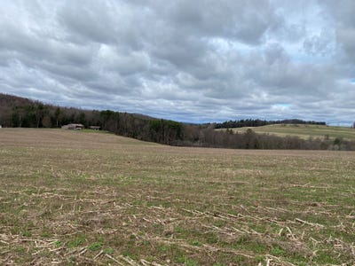 /international/us/150-lloyds-road-cherry-tree-pa-110108060045/