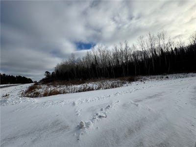 /international/us/lot-1-state-highway-70-loretta-wi-110096180324/