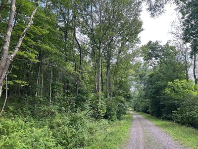 /international/us/-kelly-rd-and-holly-hill-road-rimersburg-pa-110109505456/