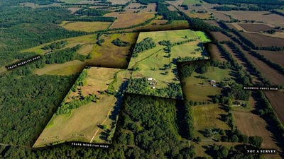 /international/us/frank-mckelvey-rd-palmersville-tn-110102659772/