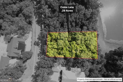 /international/us/302-cobia-st-marys-ga-110101071838/?lang=zh-cn