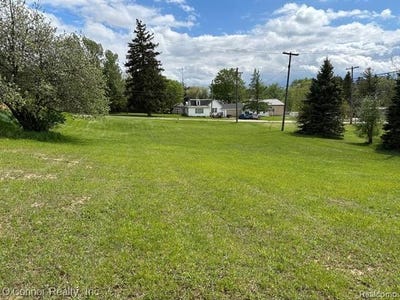/international/us/n-high-st-carsonville-vlg-mi-110099643560/