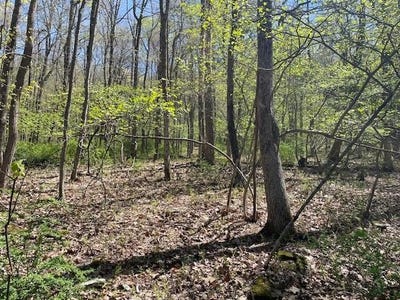 /international/us/lot-23-hemlock-road-kunkletown-pa-110099097827/
