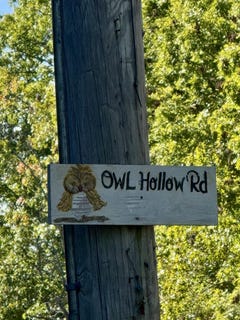 /international/us/owl-hollow-road-palmer-tn-110107503892/