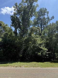 /international/us/tract-11-n-hwy-87-burkeville-tx-110101176473/?lang=zh-tw