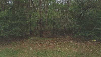 /international/us/105-rhode-island-avenue-satsuma-fl-110104430616/