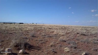 /international/us/chevelon-canyon-ranch-unit-3-heber-az-110110366681/