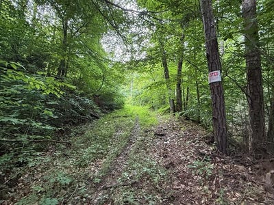 /international/us/4000-left-fork-maces-creek-rd-viper-ky-110100613503/