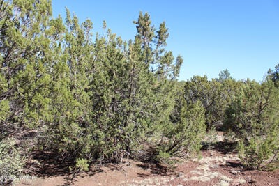 /international/us/56-58-co-rd-3193-vernon-az-110099688621/