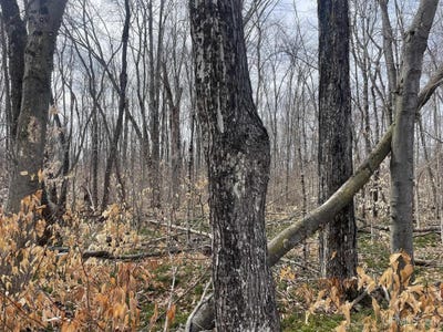 /international/us/peninsula-acres-road-manistique-mi-110107638378/