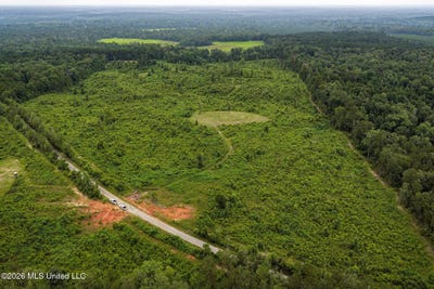 /international/us/mary-wall-bridge-rd-mt-vernon-liberty-ms-110108979179/