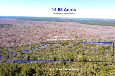 /international/us/tbd-ne-170th-avenue-road-fort-mc-coy-fl-110105512203/