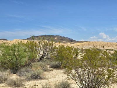 /international/us/151-herman-s-draw-terlingua-tx-110093317580/?lang=zh-cn