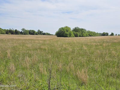 /international/us/37-acres-hwy-dd-crane-drive-highway-seneca-mo-110098159298/