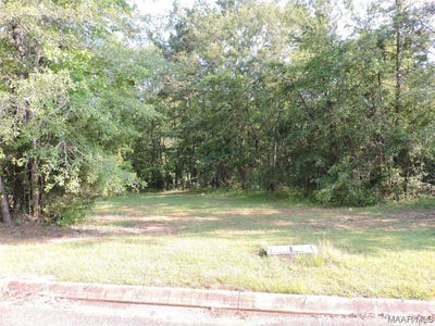 /international/us/lot-3b-white-oak-way-greenville-al-110085411203/
