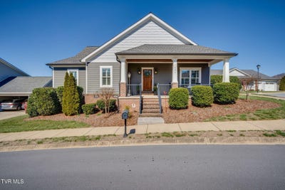 /international/us/197-princeton-gardens-drive-johnson-city-tn-110106307698/
