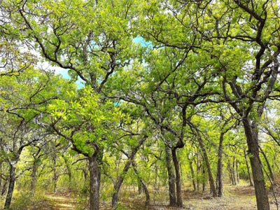 /international/us/turpin-lake-road-poolville-tx-110104924150/