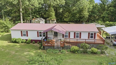 /international/us/113-county-road-535-fyffe-al-110108666219/