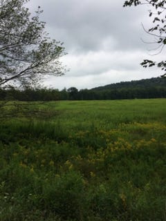 /international/us/na-hasbrouk-drive-woodbourne-ny-110101403891/?lang=en