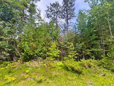/international/us/v-l-suanqua-drive-lot-117-119-141-presque-isle-mi-110101114450/