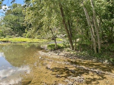 /international/us/23-acres-davis-lane-columbia-ky-110102622508/