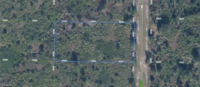 /international/us/1324-s-brodie-road-avon-park-fl-110109009439/