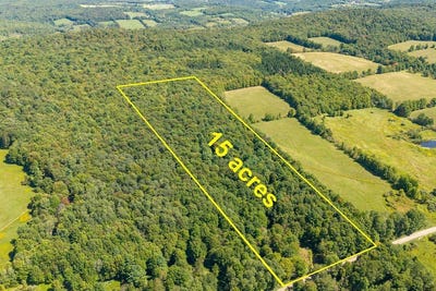 /international/us/lot-3-warren-road-meredith-ny-110094468345/?lang=zh-tw