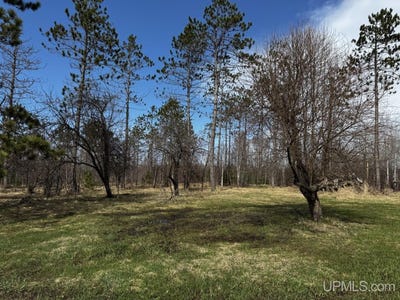 /international/us/36431-daniels-road-ontonagon-mi-110107781184/