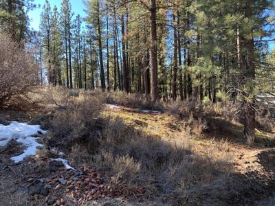 /international/us/e-spruce-avenue-portola-ca-110105326179/