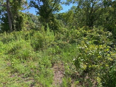 /international/us/0-old-gainesville-highway-interlachen-fl-110093320194/