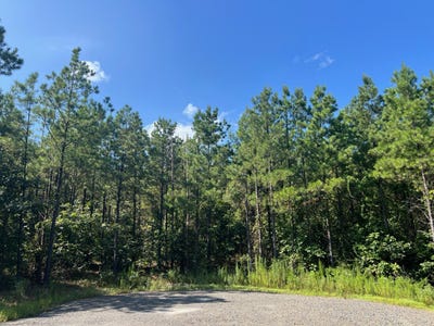 /international/us/53-weathered-timber-trl-broken-bow-ok-110101692904/