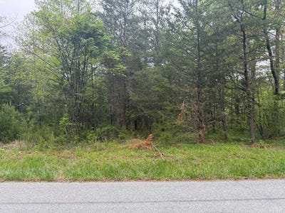 /international/us/0-lot-c-darby-road-pittsville-va-110107651864/