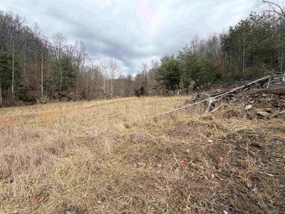 /international/us/6370-camp-creek-road-huntington-wv-110105849866/