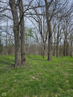 /international/us/5153-e-county-road-650-n-bainbridge-in-110107694383/