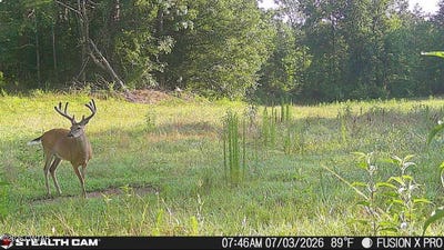 /international/us/214-authur-byrd-road-pocahontas-tn-110107876736/