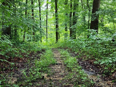 /international/us/tbd-state-road-54-springville-in-110101245729/?lang=en
