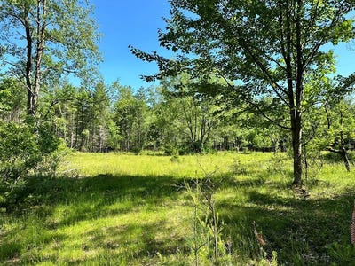 /international/us/mellow-way-lot-7-wilmington-ny-110107686993/